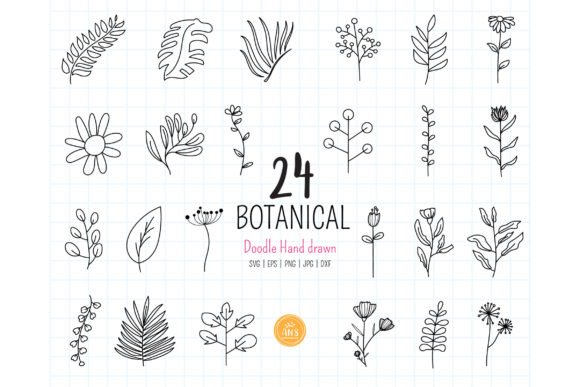 24 Botanical Flowers SVG: A Designer's Review for Graphics and Illustrations