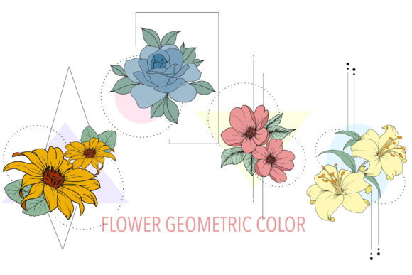 Flower Geometric Illustration Graphics Review