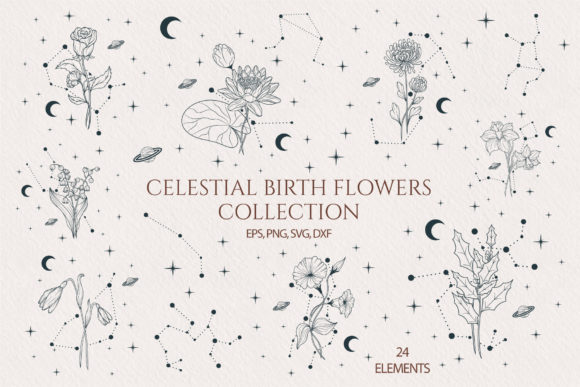 Hand Drawn Celestial Birth Month Flowers Graphics and Illustrations