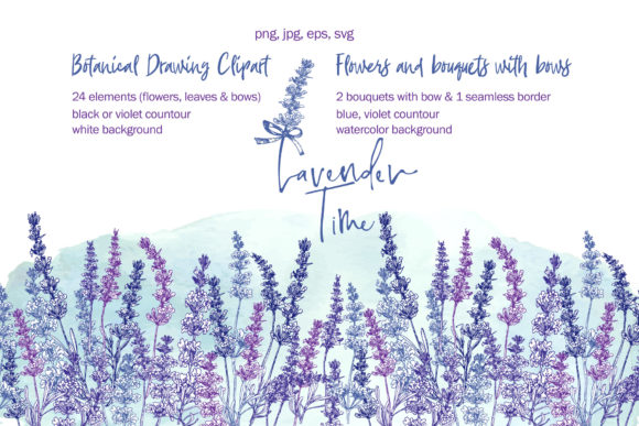 Hand-drawn Lavender Flower, Bouquets Graphics and Illustrations Review