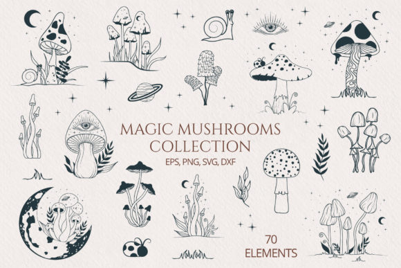 Hand Drawn Magic Mushrooms Collection: Graphics & Illustrations Review