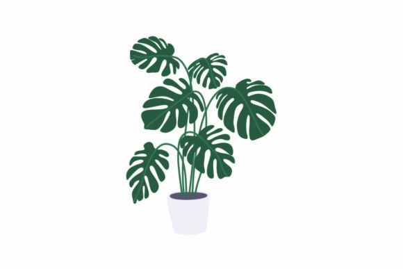Home Plants: Fresh Graphics and Illustrations for Modern Blogs