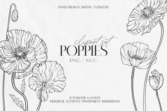 Line Poppy Clipart PNG SVG Graphics and Illustrations Review