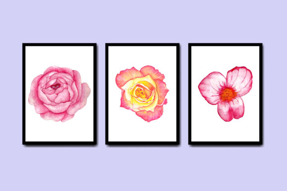 Summer Watercolor Flower Clipart Graphics and Illustrations