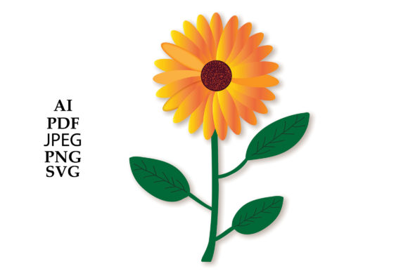 Sunflower Illustration Graphics and Illustrations Review